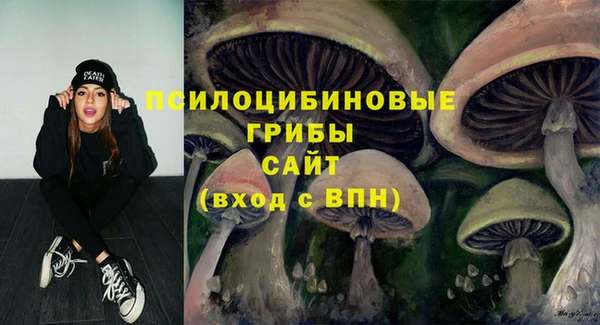 МДМА Лагань