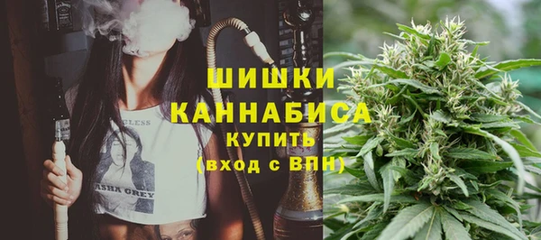 стафф Лабытнанги