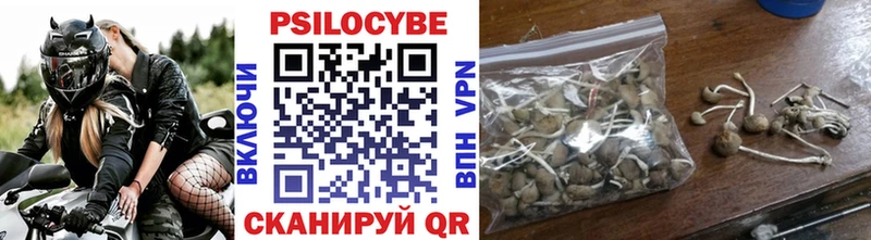 ОМГ ОМГ ссылка наркотики Чекалин Псилоцибиновые грибы GOLDEN TEACHER